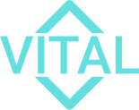 vital-earcleaner.com favicon